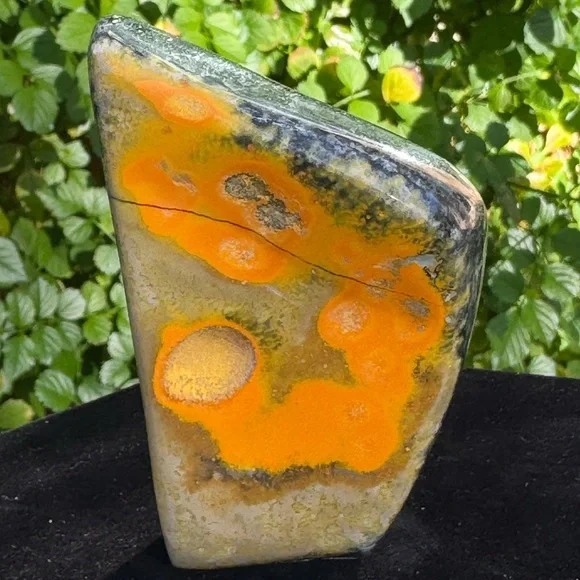 Bumblebee Jasper 7.4oz. (Indonesia) - Picture 3 of 4